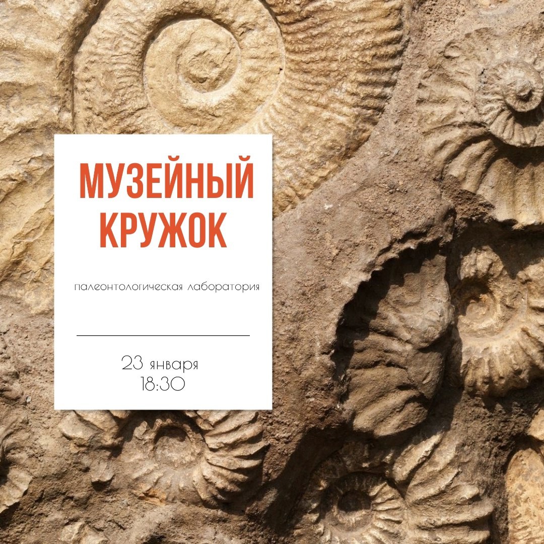 Палеонтологическая лаборатория 23 января в 18:30 в музее имени П.В. Алабина».